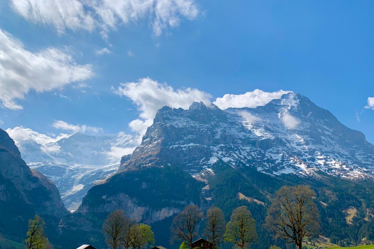 Eiger, Jungfrau, Luxury Garden Apartment Grindelwald Esterno foto